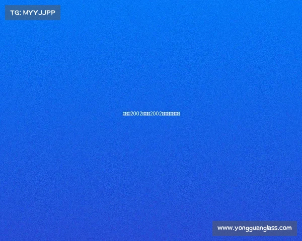 世界杯2002赛事、2002世界杯比赛结果