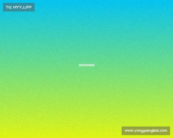 中国武术搏斗项目有哪些