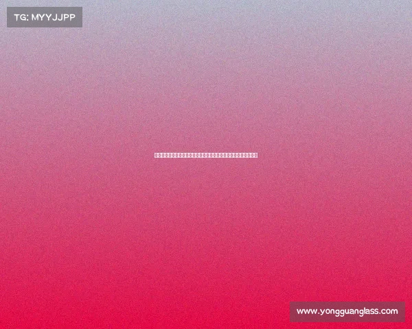 女排大奖决赛完整赛事安排详解赛程时间对阵信息荣耀巅峰对决指南