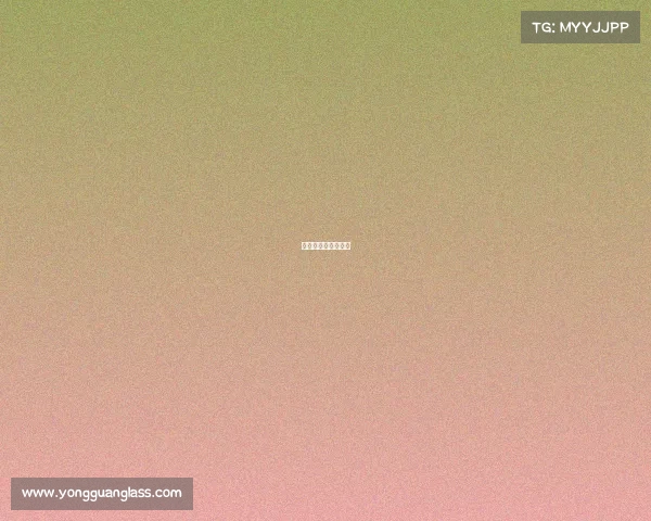 女排今年赛事时间表