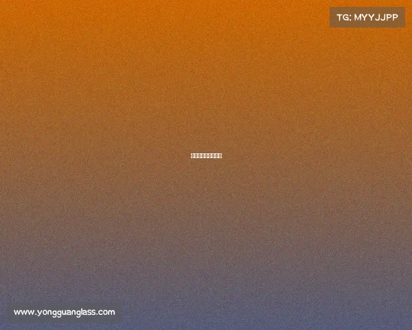 韩城篮球赛人员名单